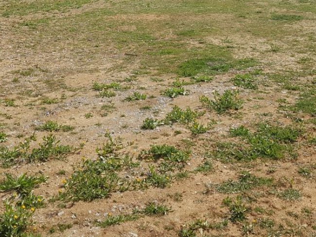 Terreno Industrial en Lloguer a Polinya